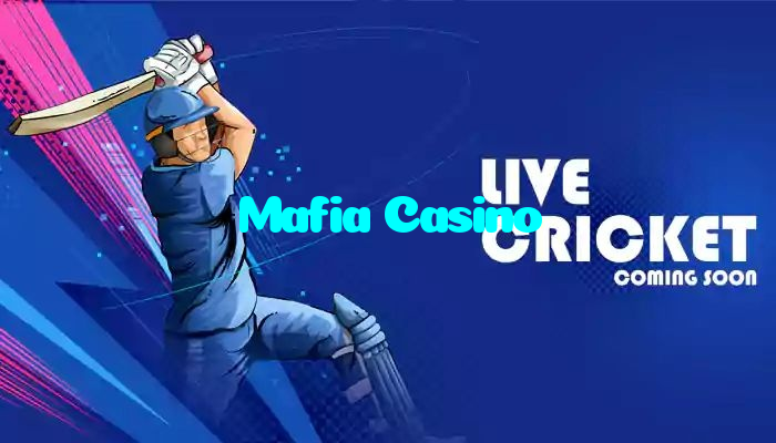 available types of Mafia Casino bet including pre-match live express and system bets